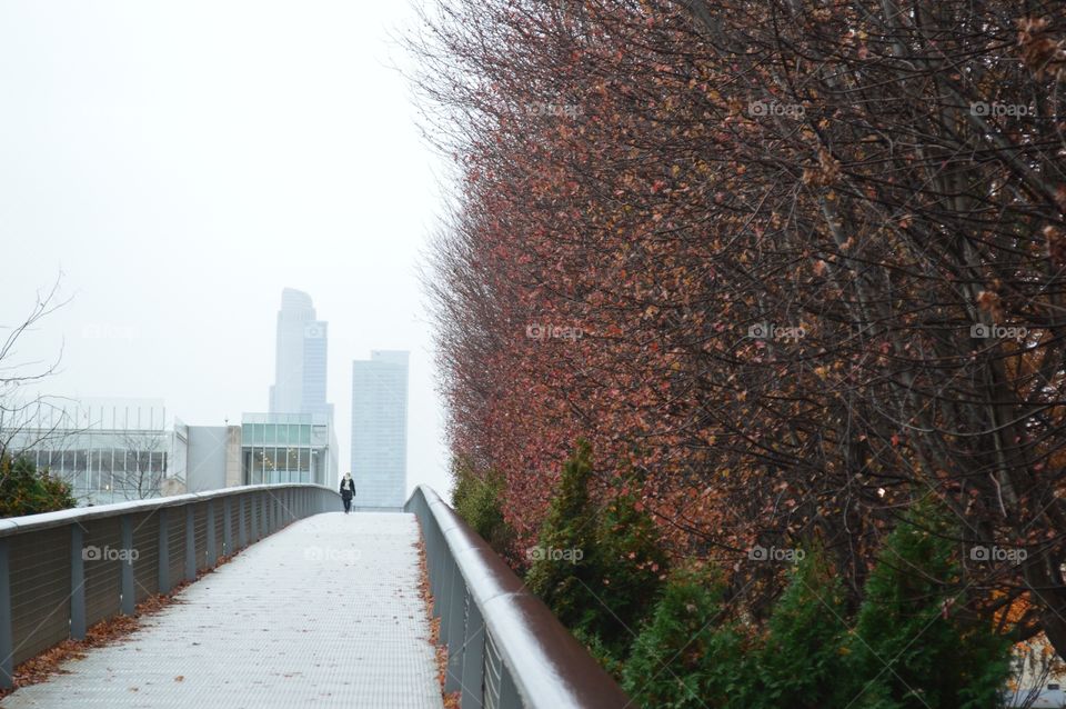 Winter foggy bridge 