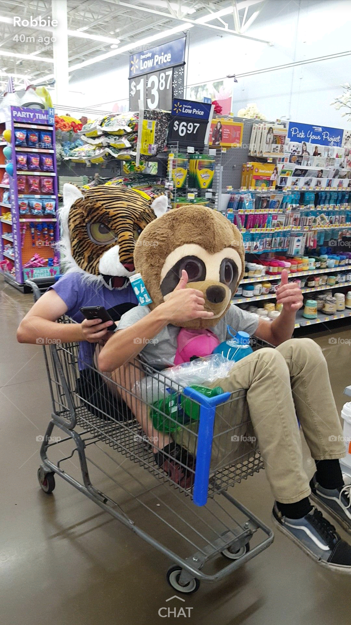 Teens Wearing Animal Masks in Shopping Cart