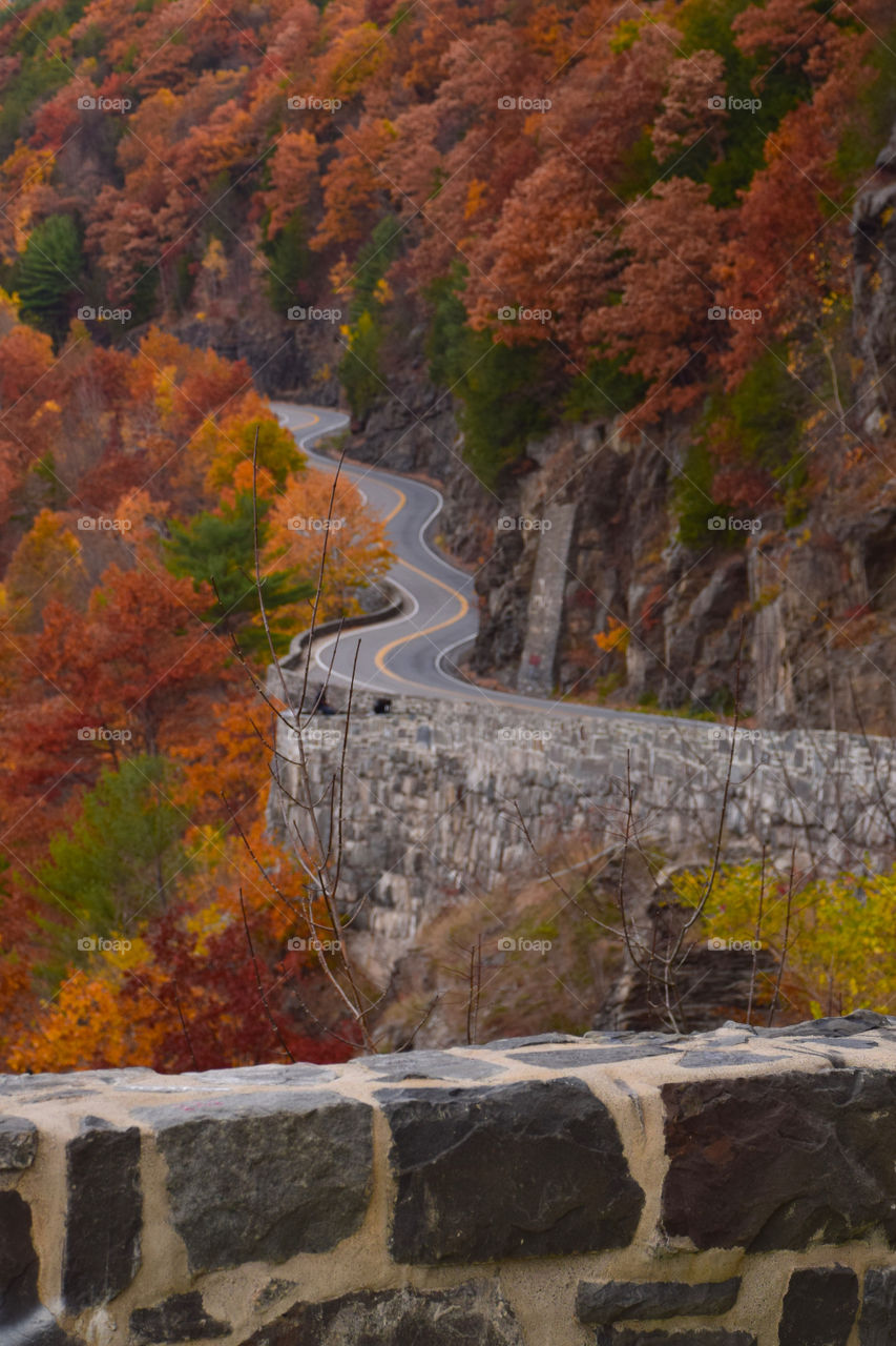 Empty road between autumn trees