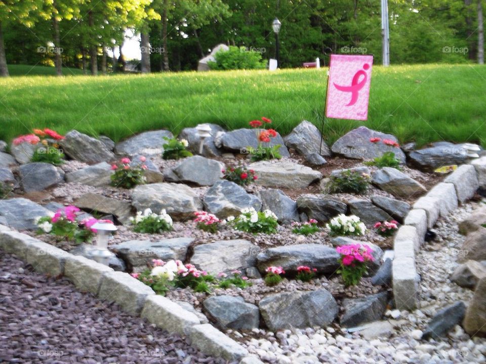 Breast cancer awareness garden