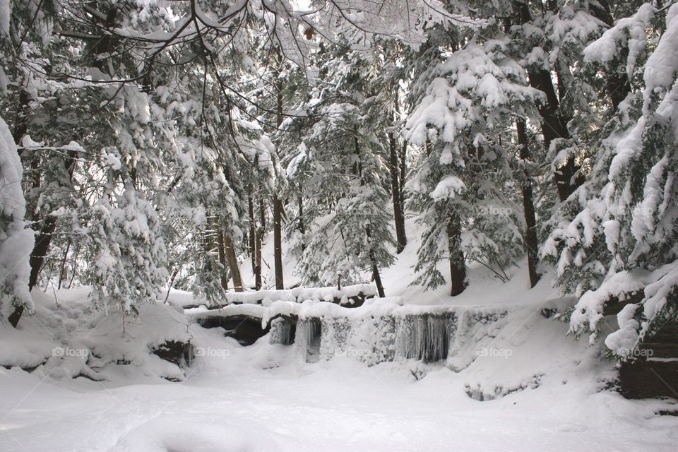 View of winter day