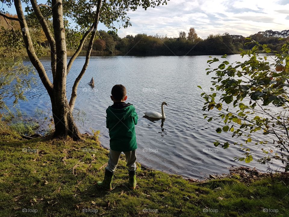 Scottish Loch with a child feeding a swan