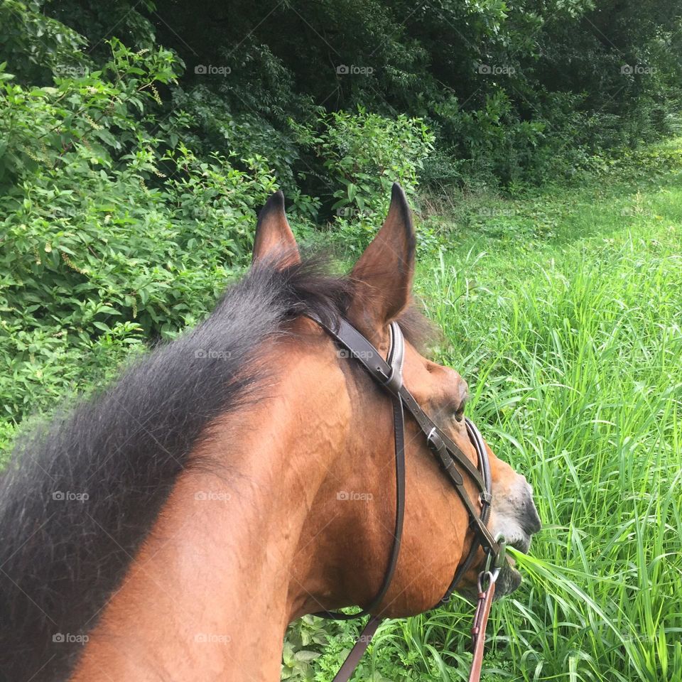 Snacking on the trail