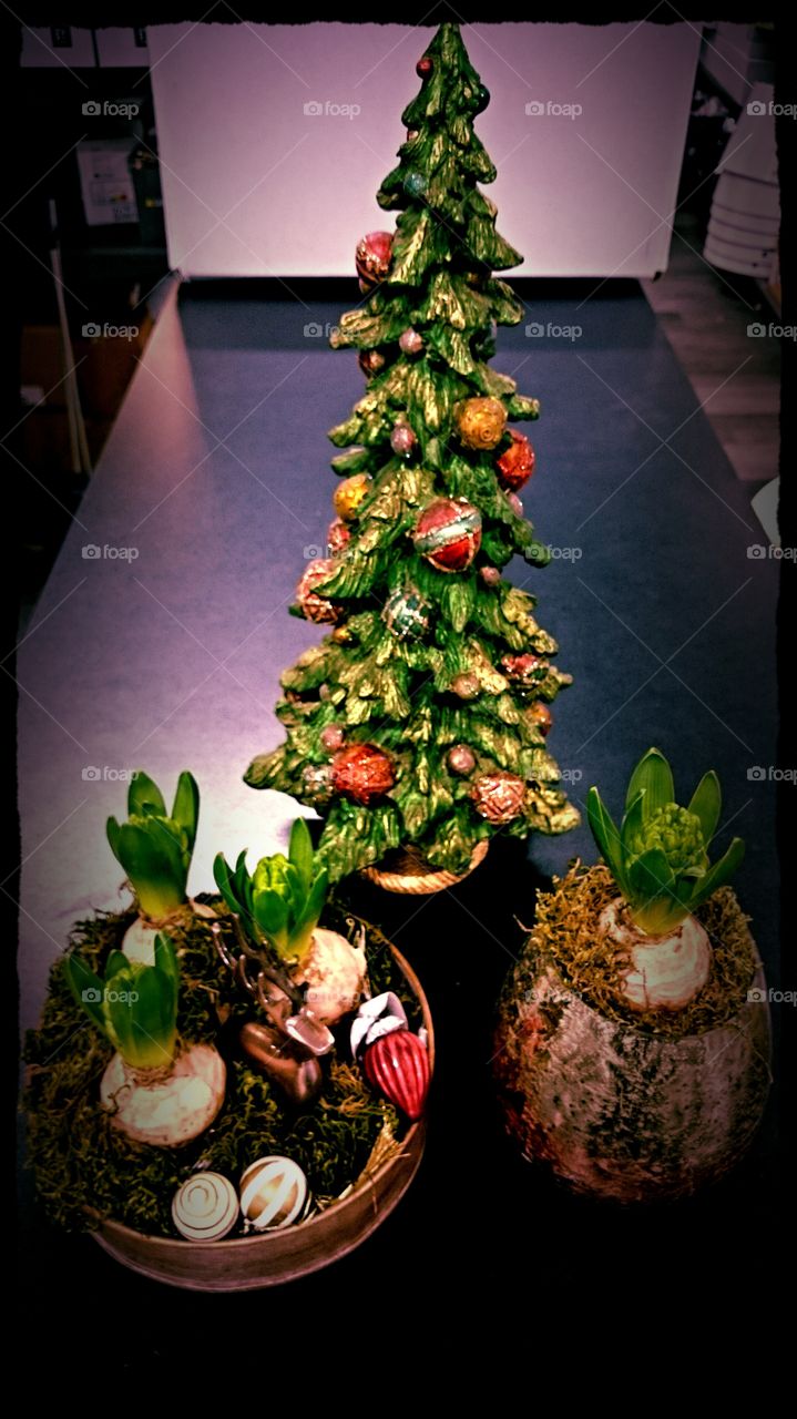 Christmas tree . Christmas tree, decoration 