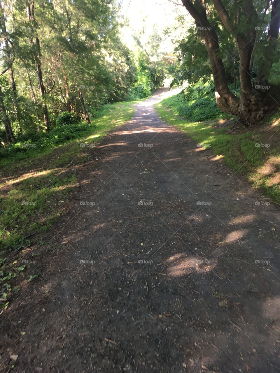 The harder the path we walk, the more beautiful the destination.