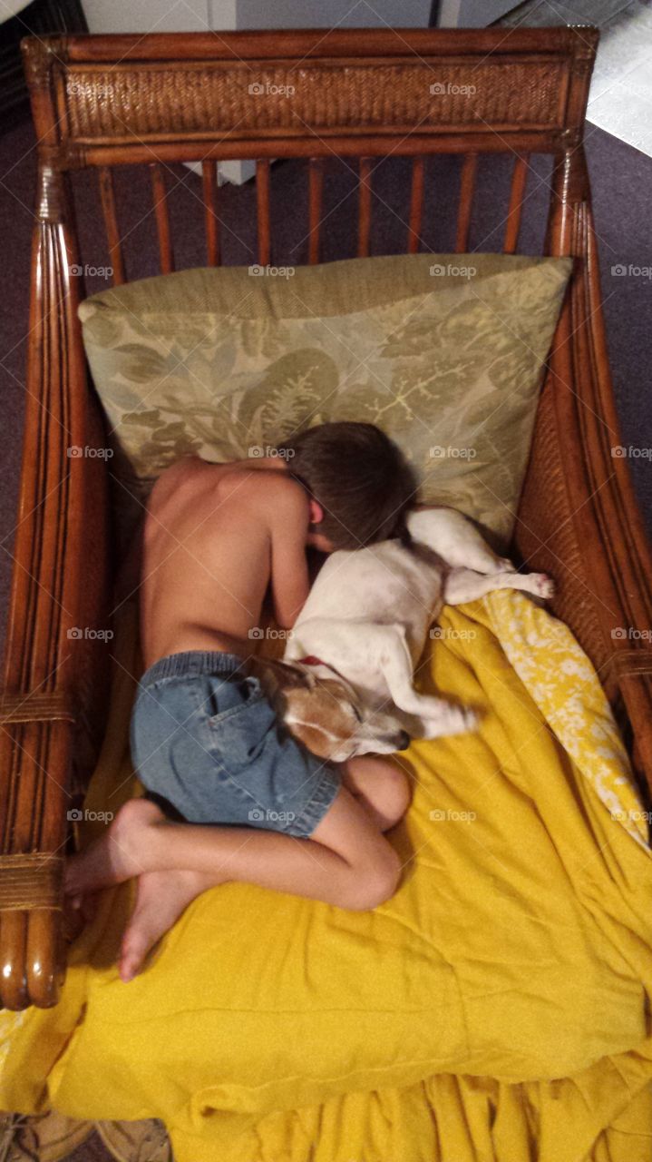 sleeping boy with Jack Russell Terrier