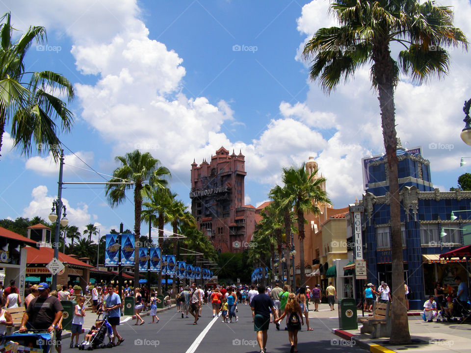 The view at Disney World!