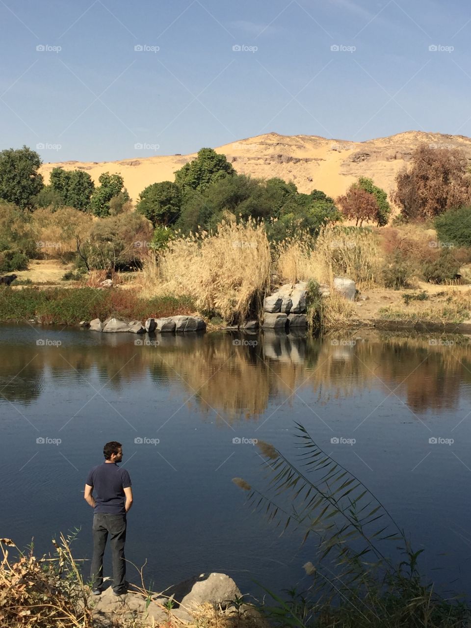 Guy looking around Nature 