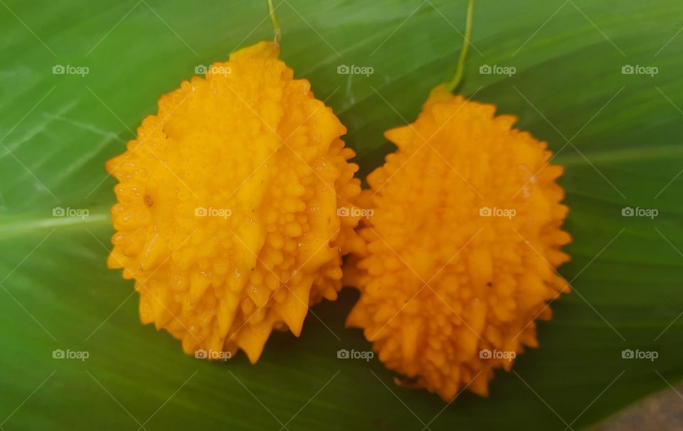 trick with vegetable for treat