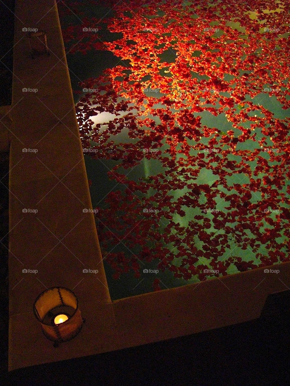 flower shadow abstract candle by thepapierdollies