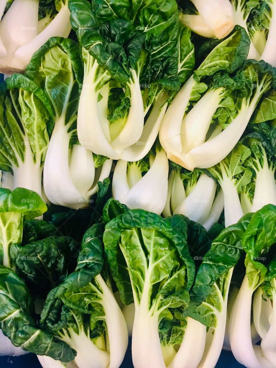 pakchoy background