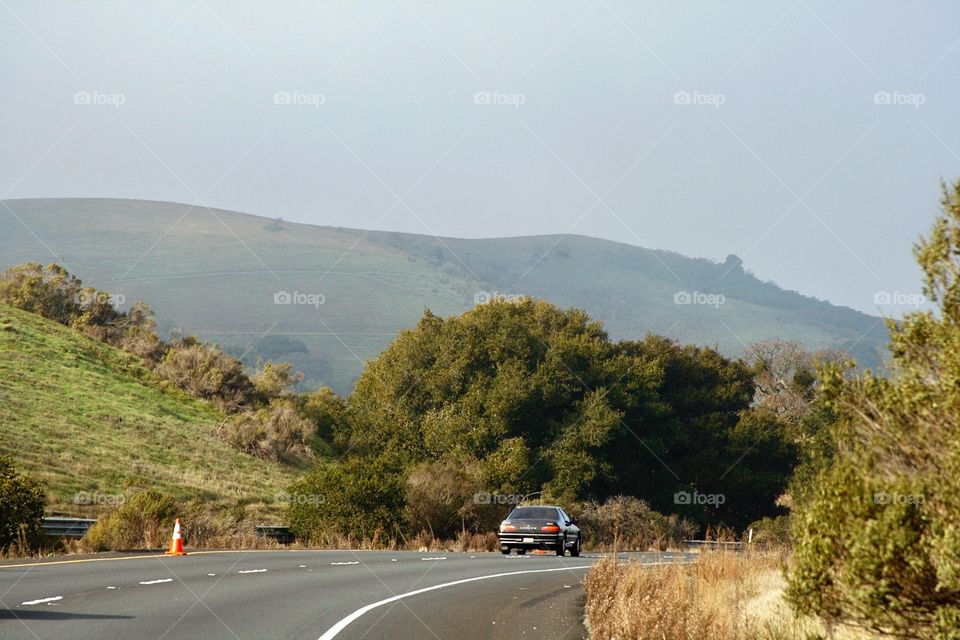 Foggy road