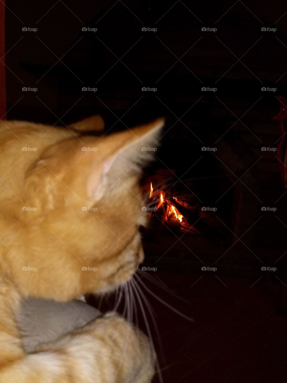 curtindo uma lareira