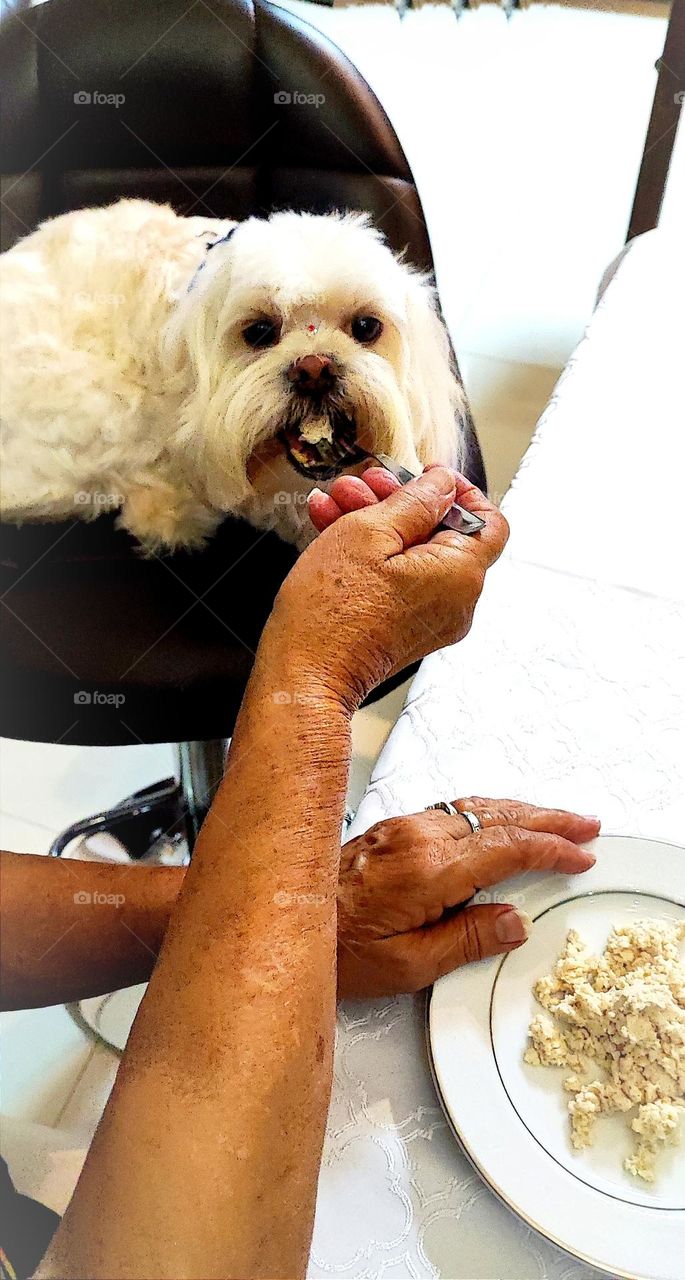 O Sebas come com garfo