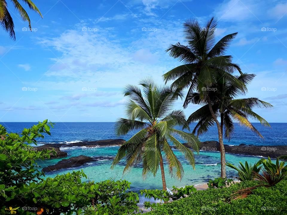 Ilheu das Rolas, beach São Tomé  Golfe de Guinée