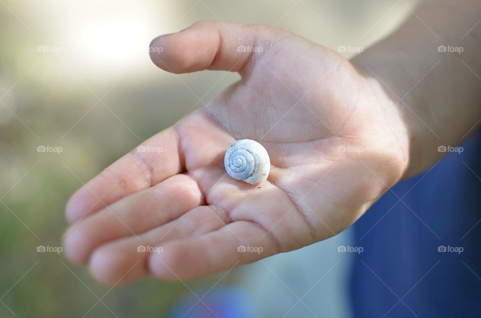 Snail shell in hand