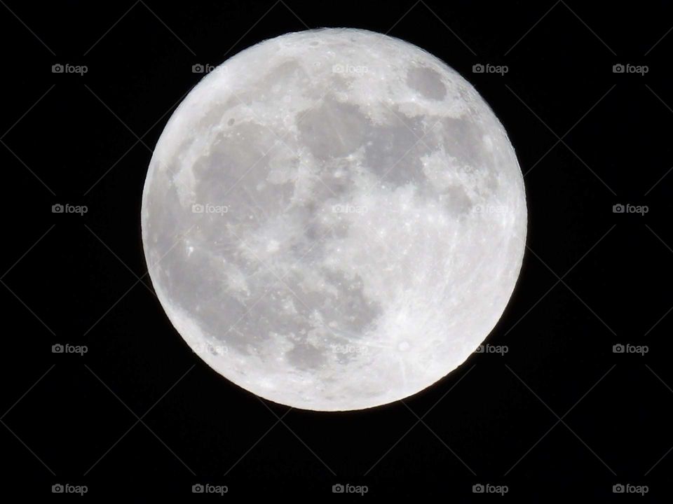 Halloween Moon 2020 🎃🕸️