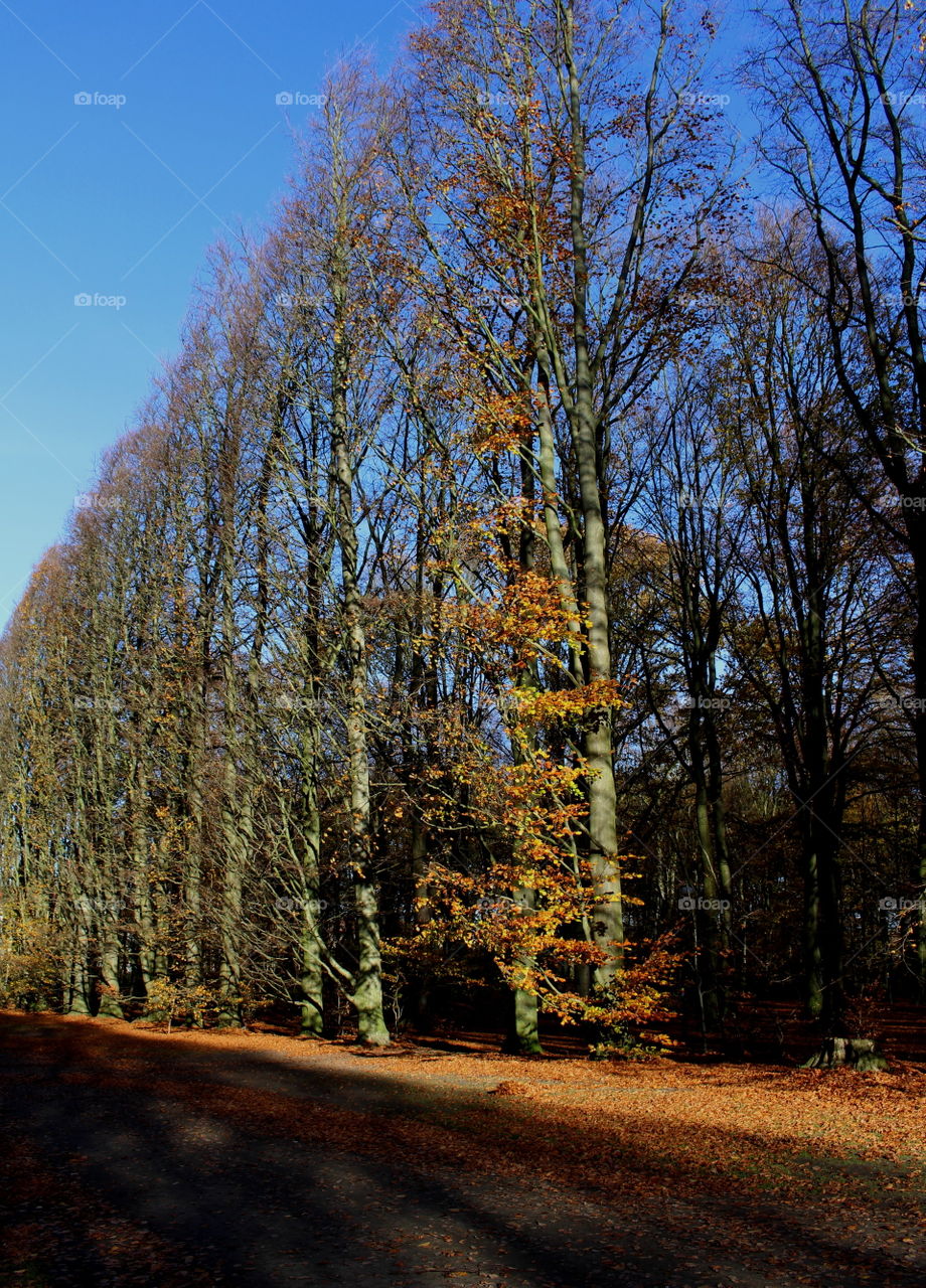 Autumn in Malmö.