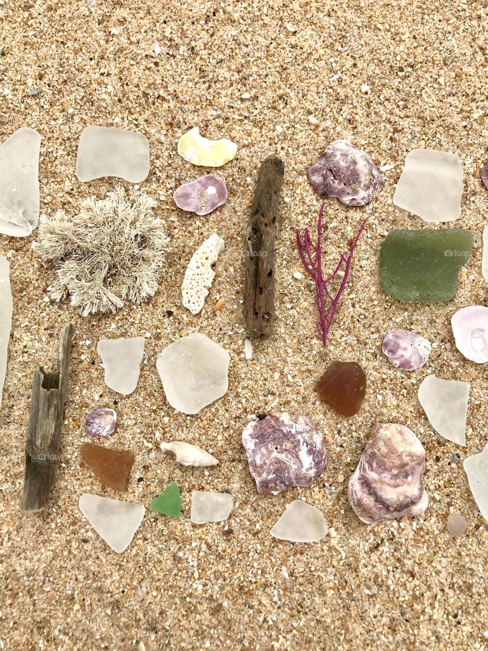 Seashell collection / beach treasures / beach combing