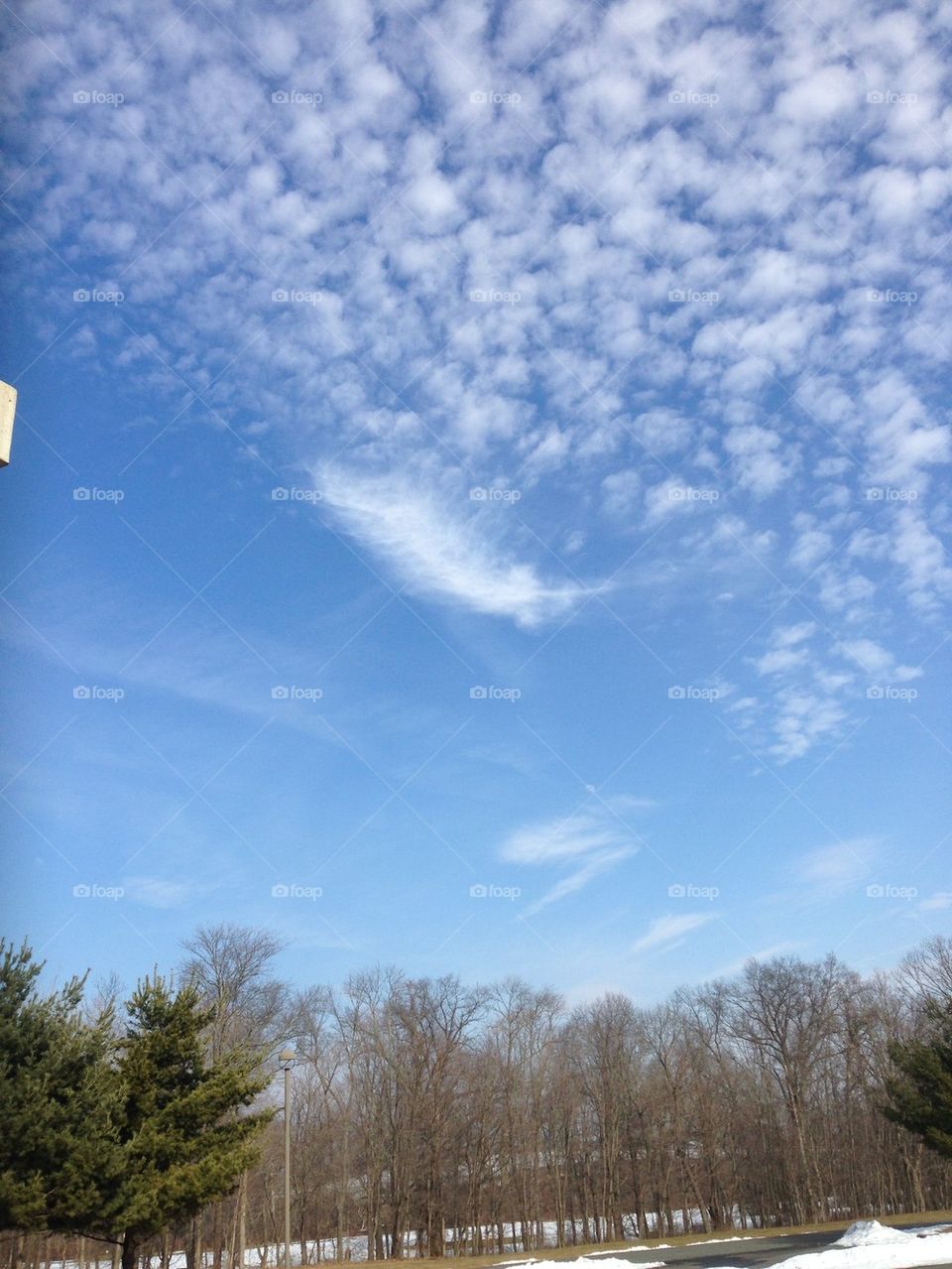 Feather cloud