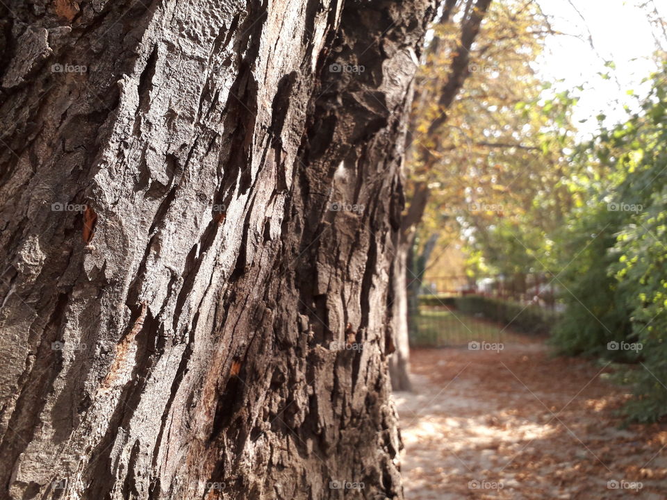 autumn is coming pt. 3