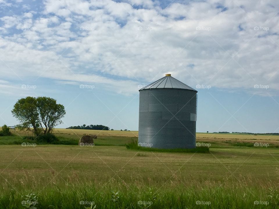 Grain bin 