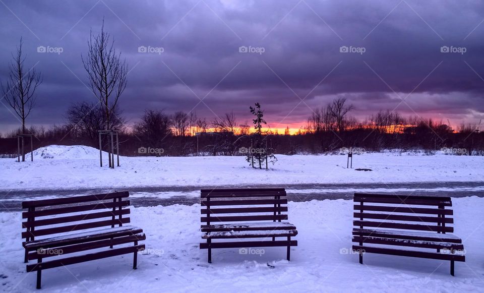 In the park