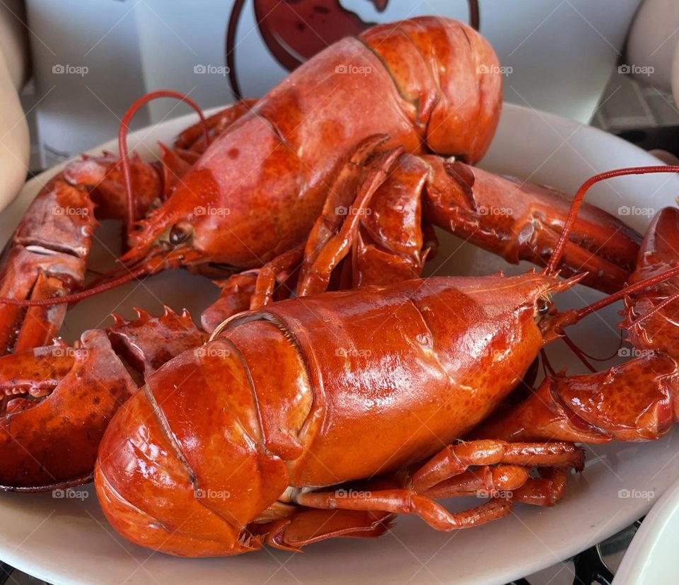 Two perfectly boiled lobsters, their shells a vibrant red, resting side by side on a large white platter. The scene evokes a sense of anticipation, with the lobsters' appetizing appearance suggesting a delicious meal ahead.