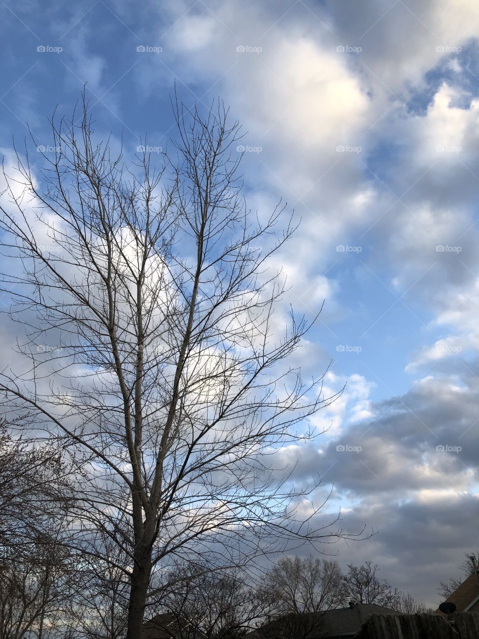 Clouds n tree sky