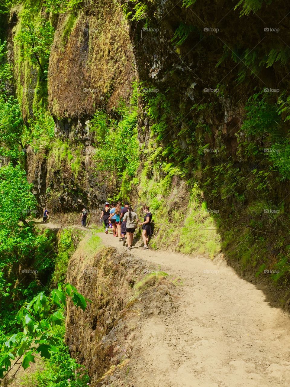 Group hike. Group of young people hiking along Eagle Creek Trail in Columbia River Gorge.