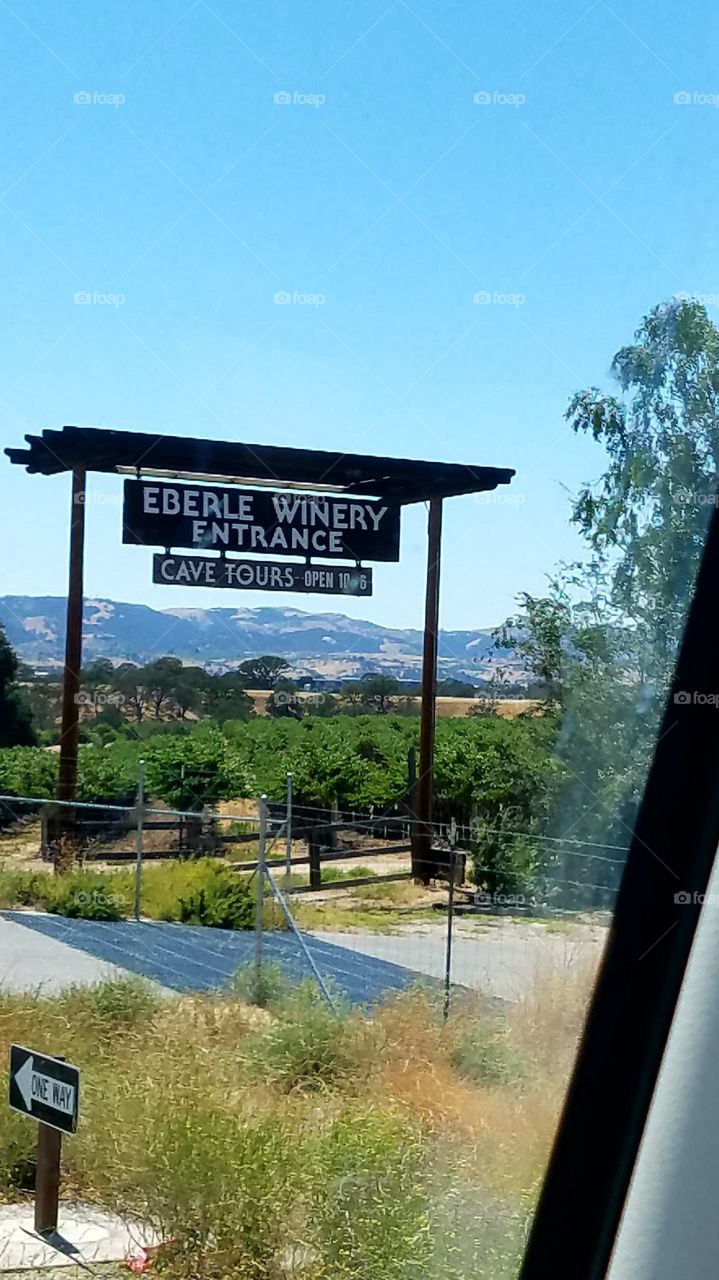 California Winery