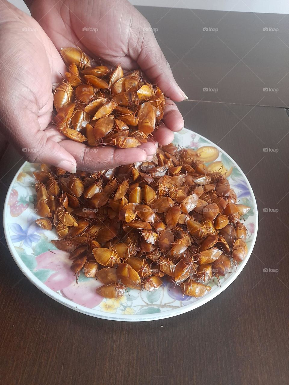 These are edible stink bugs ( Encosternum delegorguei Spinola ) commonly found in the Nerumedzo community in Bikita, Zimbabwe 🇿🇼 also known as Harurwa in Shona language.