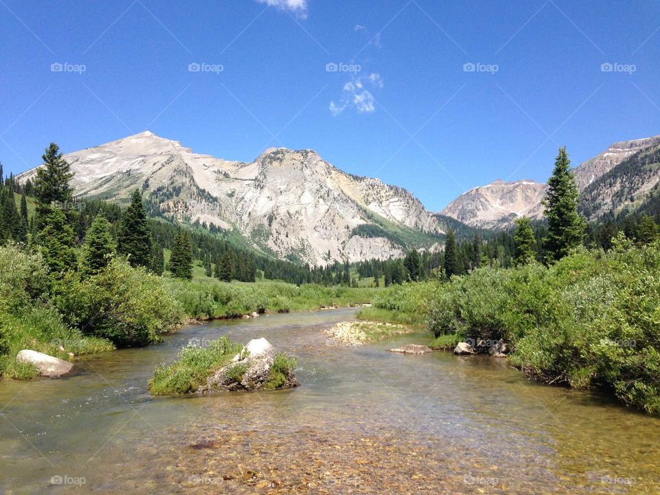 View of a stream