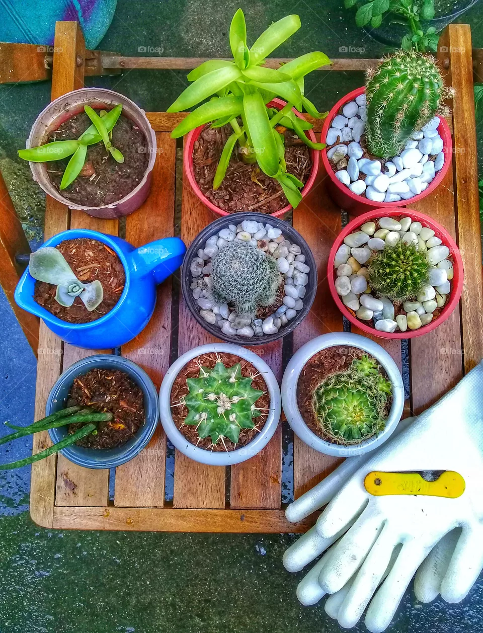 Ca