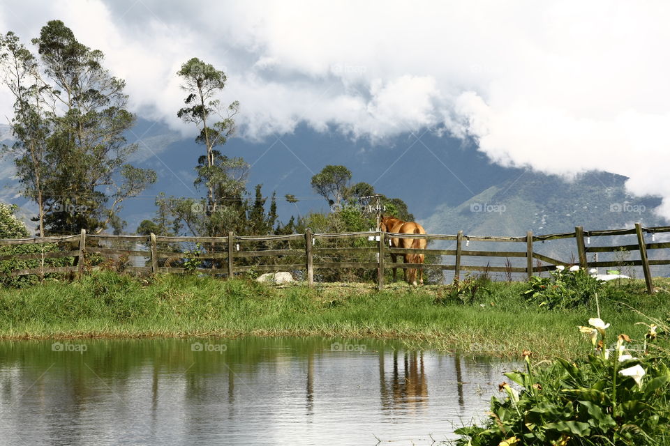 Los Andes