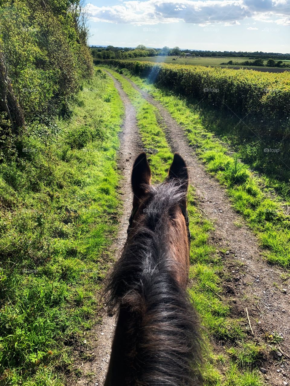 Sunny ride