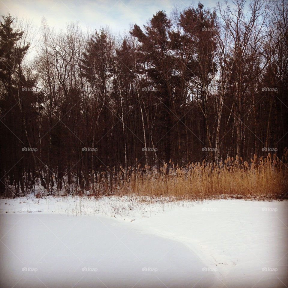 Connecticut winter landscape