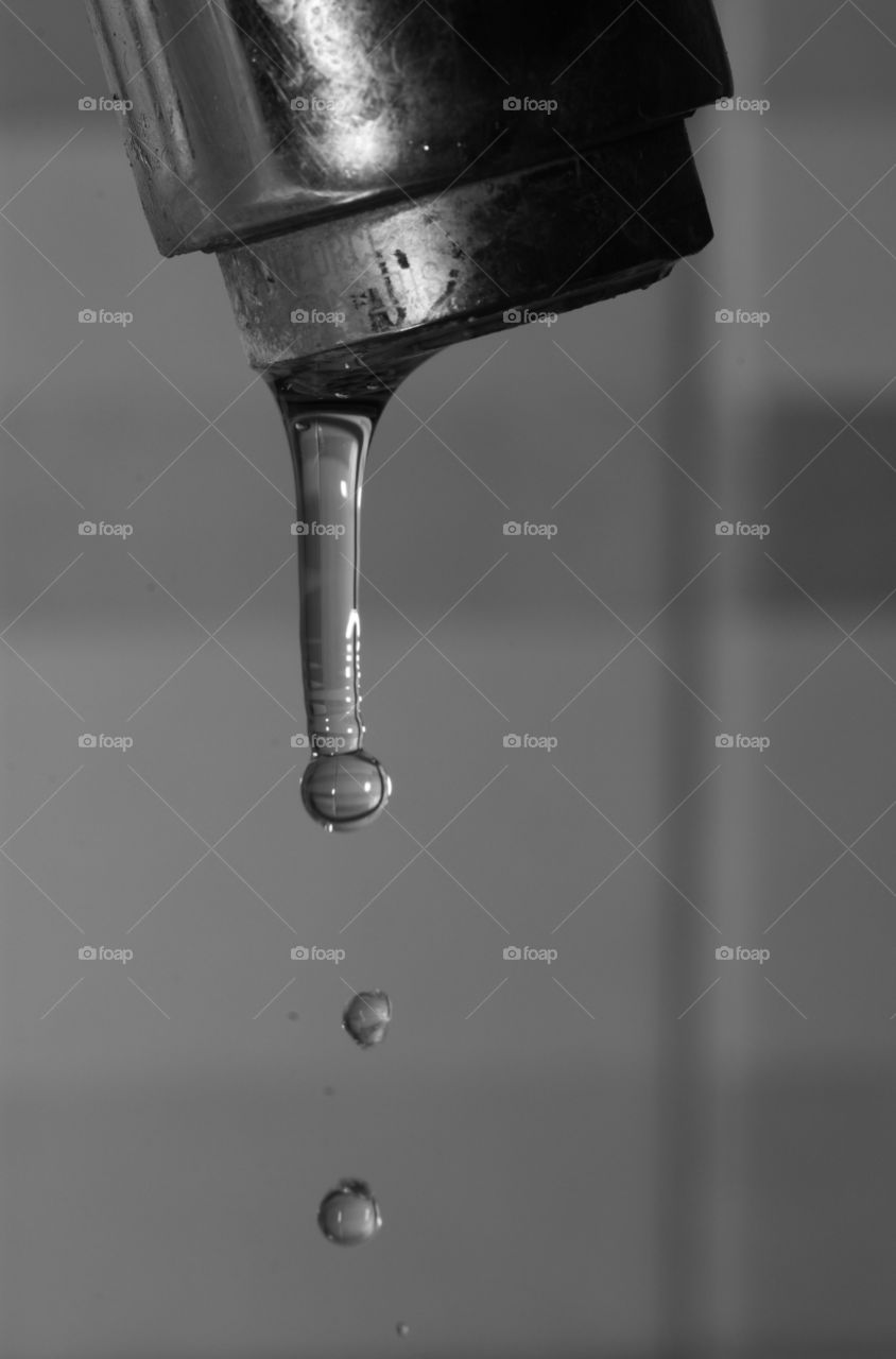 Life in drops