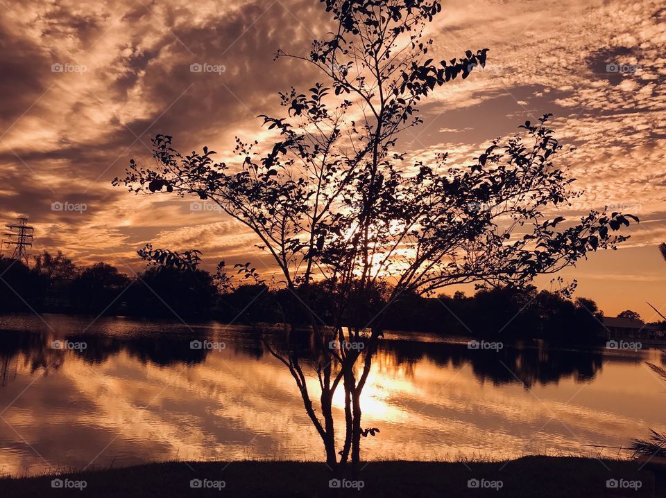 Of Total coverage by Beautiful Blissful Reflective Clouds coveting the entire sky above. Beautiful Color Encased the Sky. 