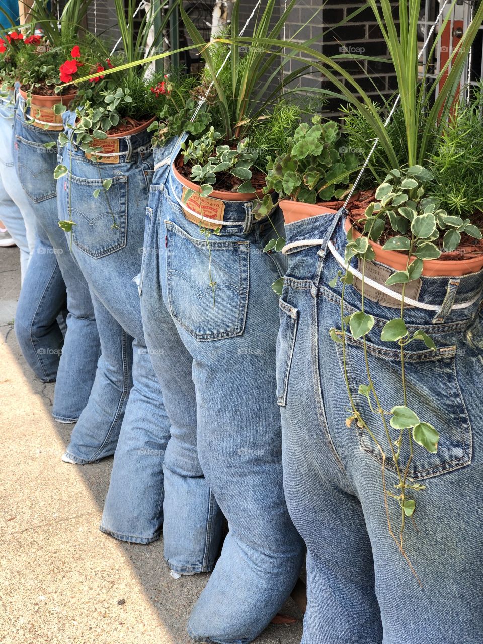 Planters at the Urban Farmer