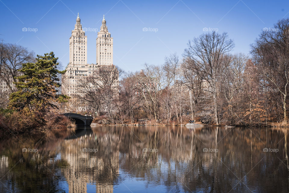 Landscape of the Bow Bridge lake in Central Park New York City