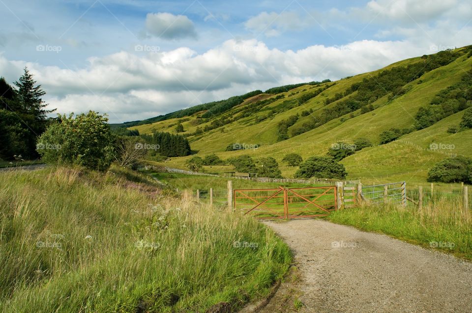 View of countryside road