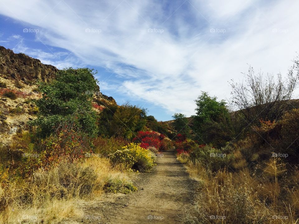 Desert Hiking