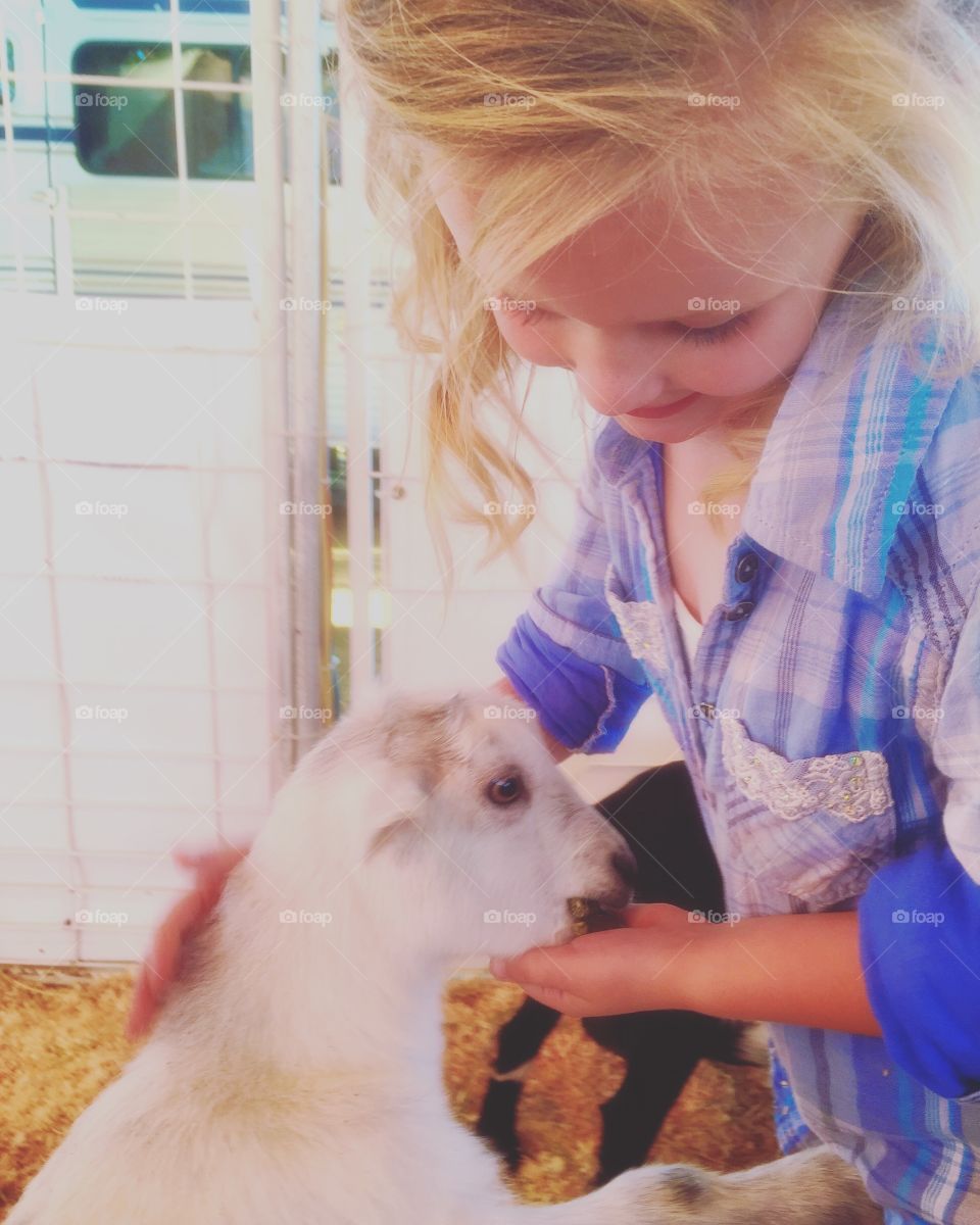 Fair time . Daughter and a baby goat 