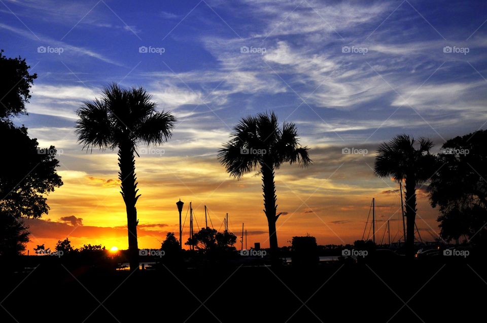 Low country sunset. Charleston South Carolina.