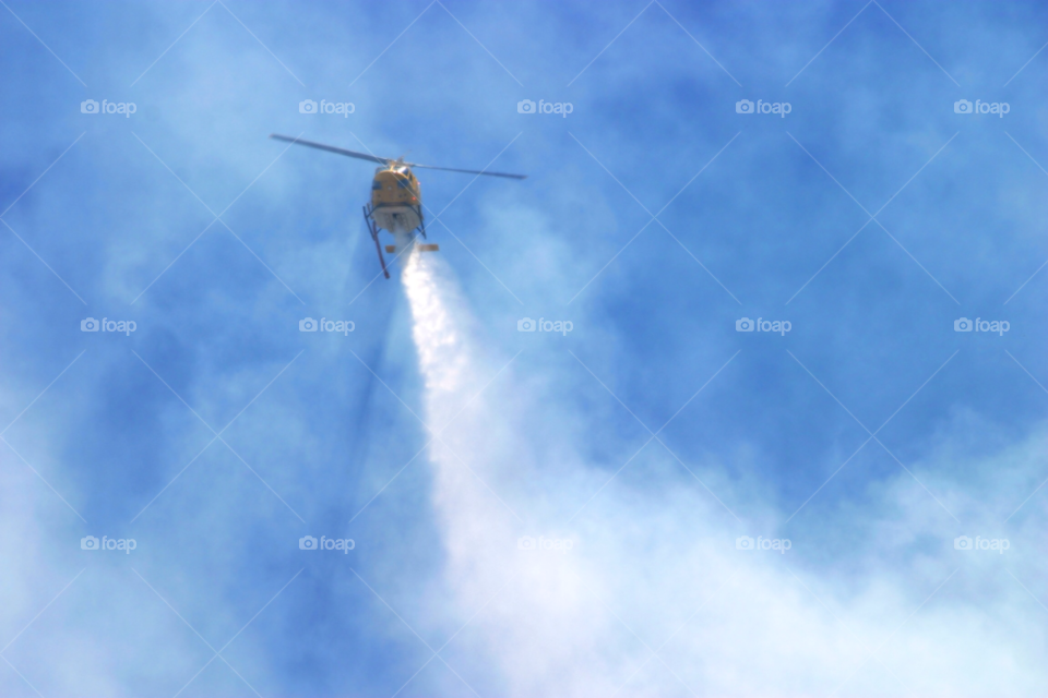 nature blue black grass by hlehnerer