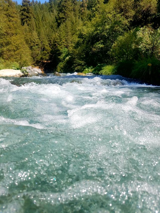 Feather River