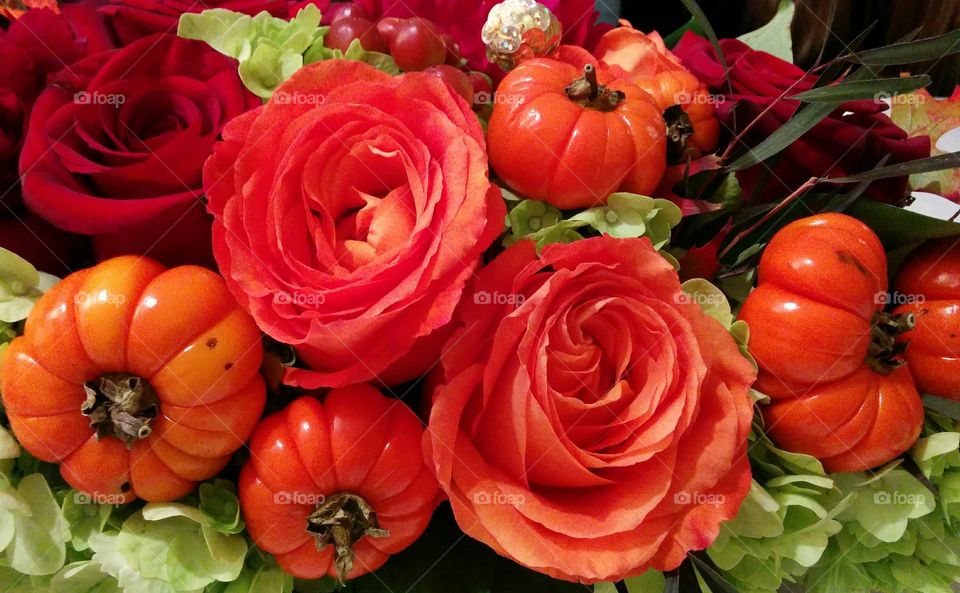 flores y tomates