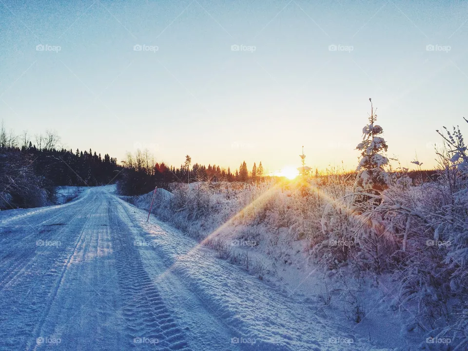 Winter, Snow, Cold, Landscape, Frost