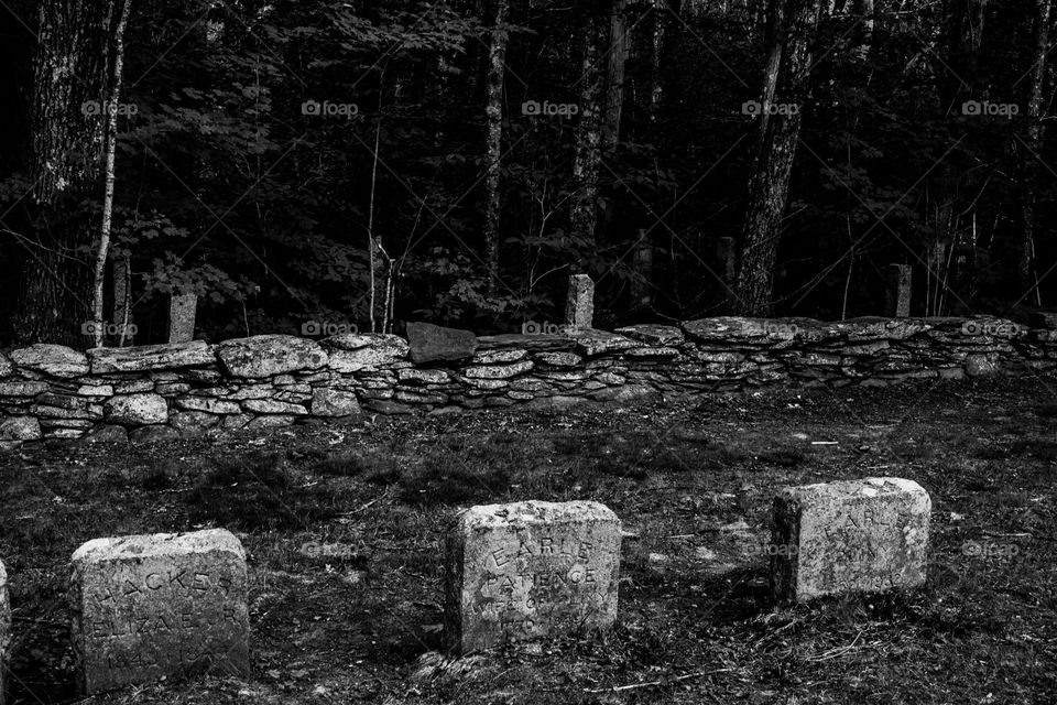Headstones with woods behind them and poles in woods 